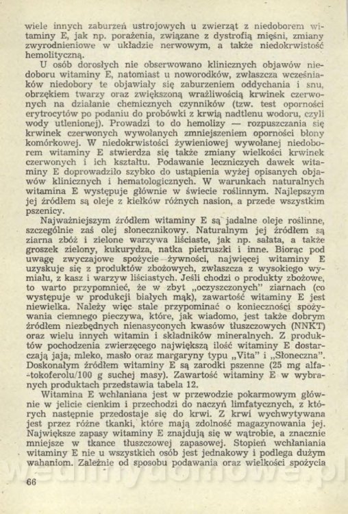 Sposób na anemię czyli żywienie w niedokrwistości_069.jpg
