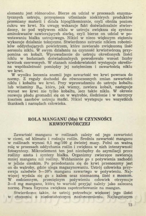 Sposób na anemię czyli żywienie w niedokrwistości_076.jpg