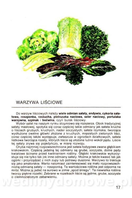 Warzywa w kuchni i spiżarni_016.jpg