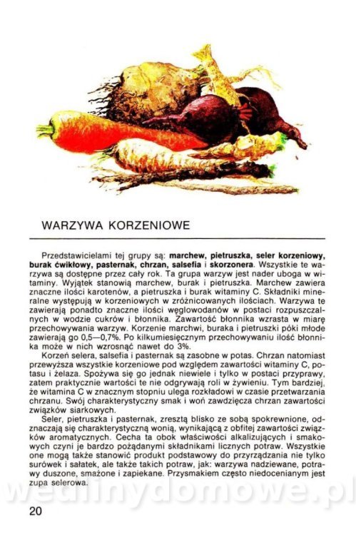 Warzywa w kuchni i spiżarni_019.jpg