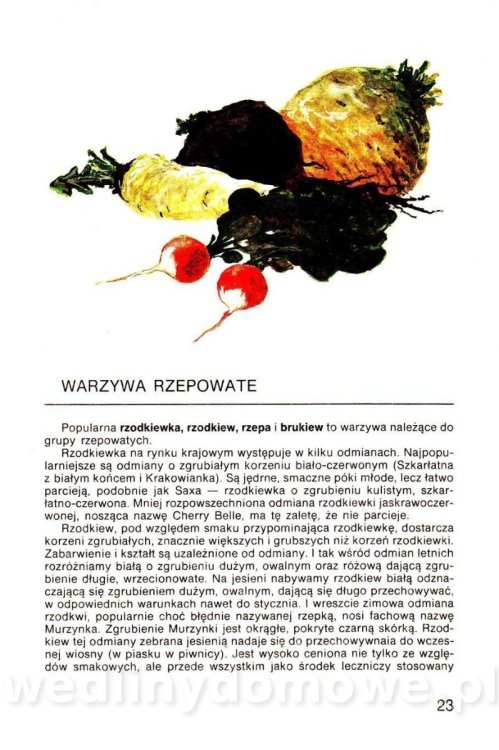 Warzywa w kuchni i spiżarni_022.jpg
