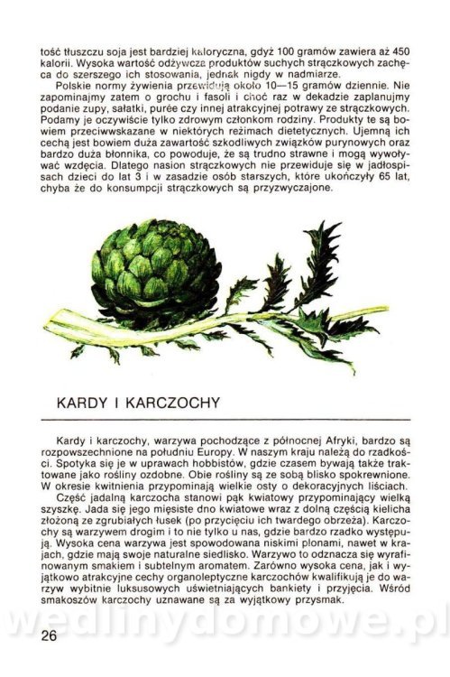 Warzywa w kuchni i spiżarni_025.jpg