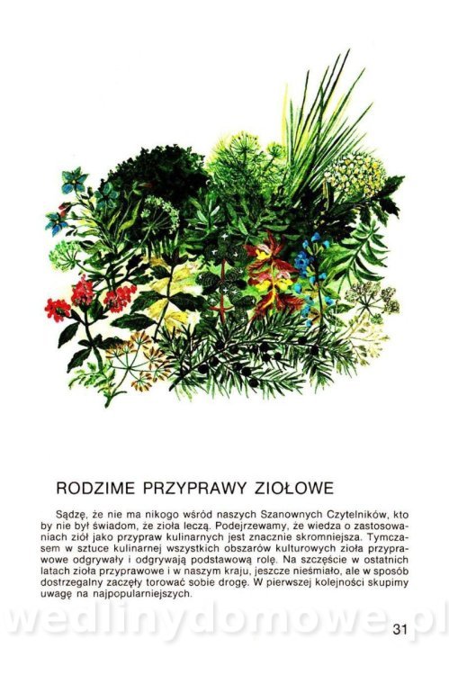 Warzywa w kuchni i spiżarni_030.jpg