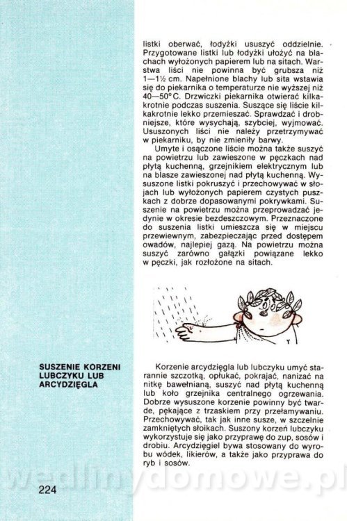 Warzywa w kuchni i spiżarni_223.jpg