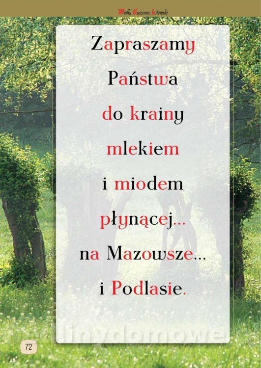Wielki Gościniec Litewski (Warszawa - Wilno)_72.jpg