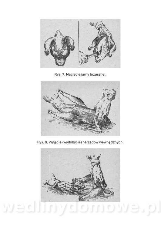 Drobiowe produkty_ tłumaczenie z ros._57.jpg